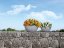 Lechuza CUBETO STONE 40 květináč samozavlažovací šedá kompletní set
