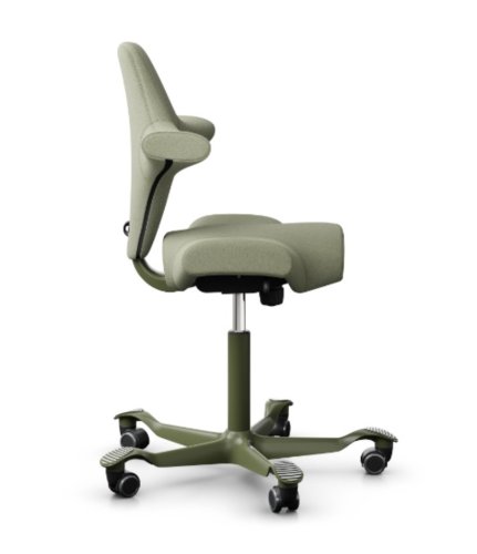 Ergonomická kancelářská židle CAPISCO 8106