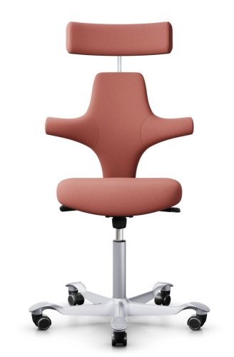 Ergonomická kancelářská židle CAPISCO 8127 - Provedení podnože Capisco 8127- bez příplatku: moos grey podnož CAPISCO 8127