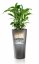 lechuza DELTA 30 samozavlažovací květináč antracitová kompletní set