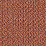 CPT4301 Coral