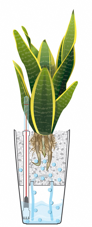 Lechuza MAXI CUBI samozavlažovací květináč bílá kompletní set