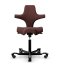 Ergonomická kancelářská židle CAPISCO 8106