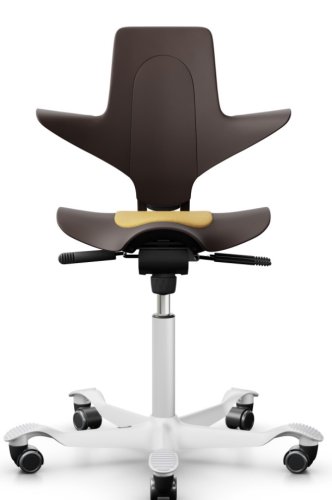 Ergonomická kancelářská židle CAPISCO PULS 8010 - Provedení podnože Capisco Puls 8010- bez příplatku: moos grey podnož CAPISCO PULS 8010