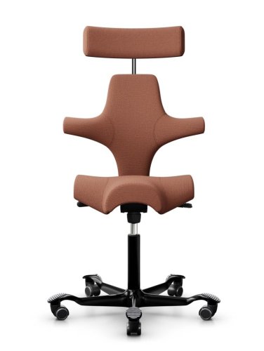 Ergonomická kancelářská židle CAPISCO 8107 - Provedení podnože Capisco 8107- bez příplatku: blush rose podnož CAPISCO 8107