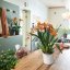 Lechuza ORCHIDEA - Samozavlažovací květináč - Bílá - Kompletní set