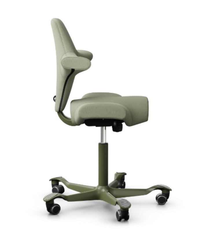 Ergonomická kancelářská židle CAPISCO 8106