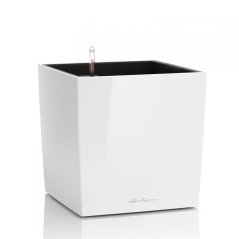 Lechuza CUBE 30 samozavlažovací květináč bílá kompletní set