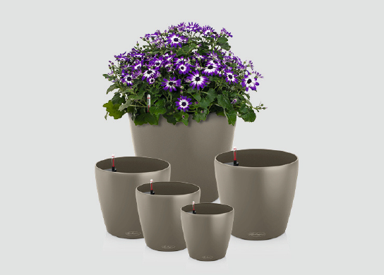 CLASSICO COLOR 70 - Objem zeminy - 145 l