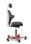 Ergonomická kancelářská židle CAPISCO 8127 - Provedení podnože Capisco 8127- bez příplatku: moos grey podnož CAPISCO 8127