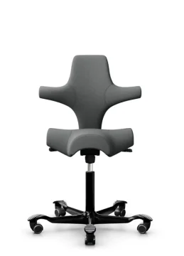Židle CAPISCO - 8105 Potah sedáku- Kůže kategorie 6 Paloma Soft (Wollsdorf) - ATG55206 Grey