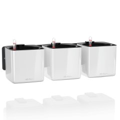 Lechuza CUBE GLOSSY GREEN WALL HOME WALL KIT samozavlažovací květináč bílá kompletní set