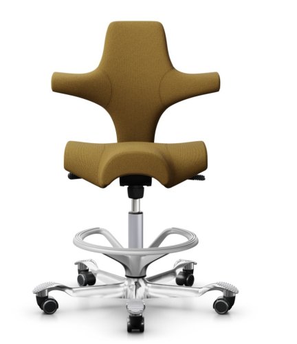 Ergonomická kancelářská židle CAPISCO 8106