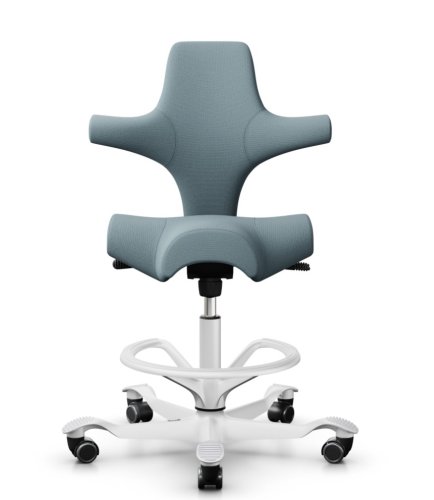 Ergonomická kancelářská židle CAPISCO 8106