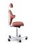 Ergonomická kancelářská židle CAPISCO 8127 - Provedení podnože Capisco 8127- bez příplatku: moos grey podnož CAPISCO 8127