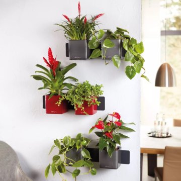 CUBE GLOSSY GREEN WALL HOME KIT - Mrazuvzdornost - Ano