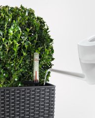 Lechuza CUBICO COTTAGE 40 samozavlažovací květináč antracitová kompletní set
