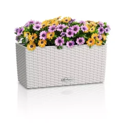 Samozavlažovací truhlík Lechuza BALCONERA COTTAGE 40 světle šedá kompletní set