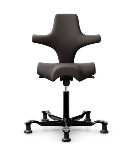 Ergonomická kancelářská židle CAPISCO 8106